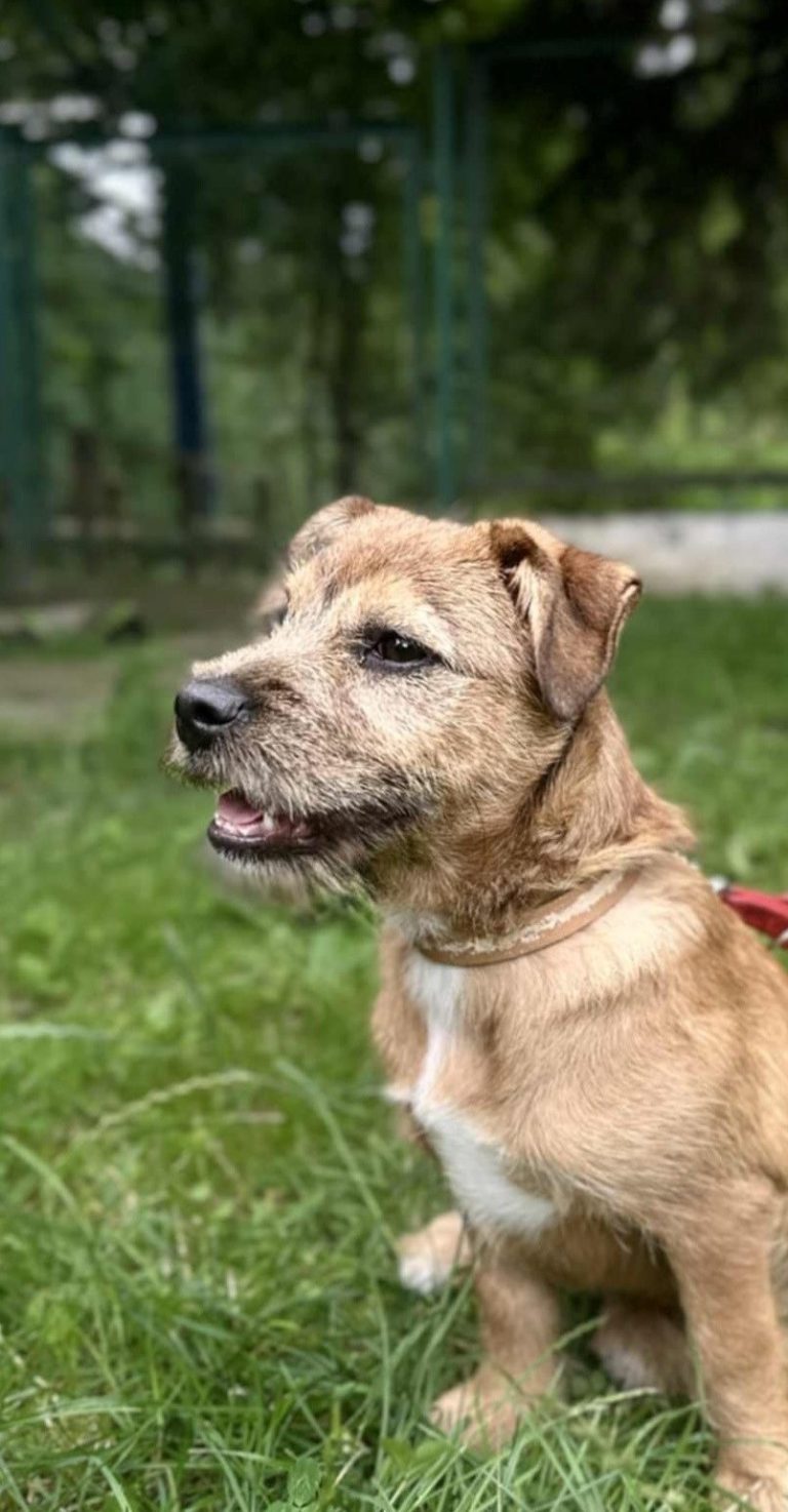 MILKA