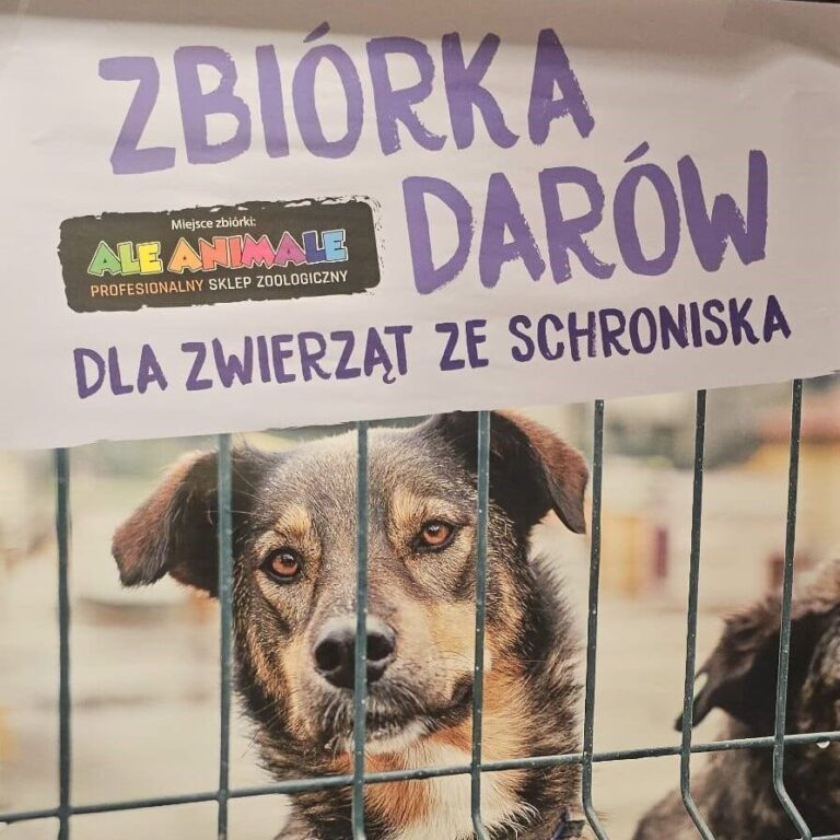 Zbiórka darów dla podopiecznych STOnZ