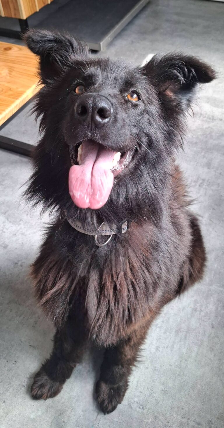 LUNA